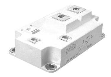 SKM800GA176D Semikron IGBT Module