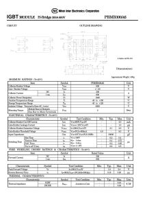 PBMB300A6 NIEC