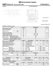 PTMB100B12 NIEC